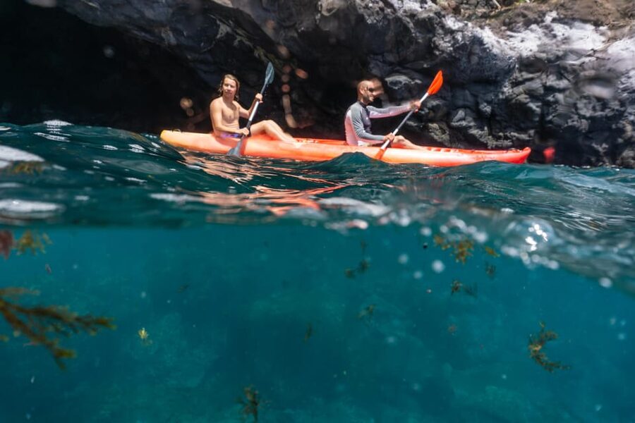 Funchal: KAYAK Rental or Guided tour with snorkeling - Reaching The Kayaks At The Mooring