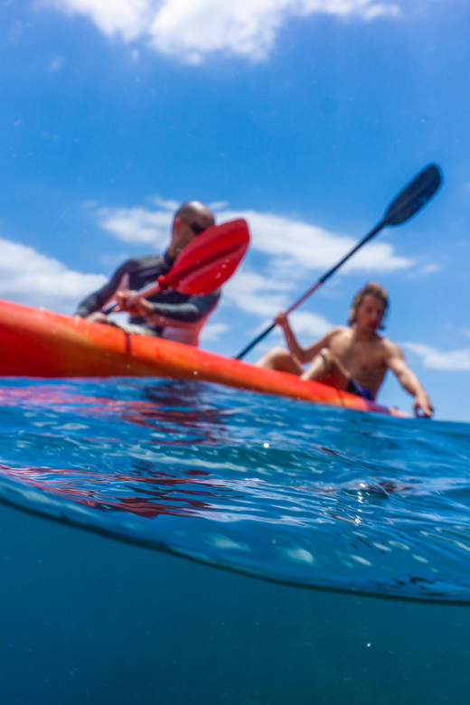 Funchal: KAYAK Rental or Guided tour with snorkeling - Guided Kayaking Along Funchal’s Waterfront