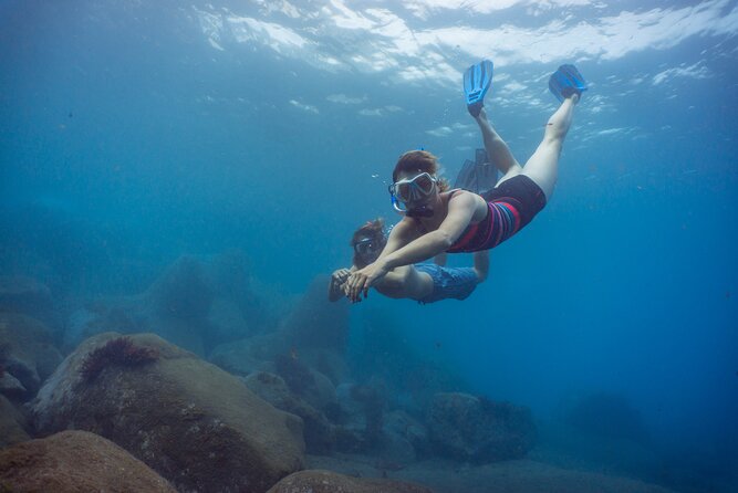 Funchal: Snorkeling Adventure in Eco-Park / Shore or by Boat - Key Points Before You Book