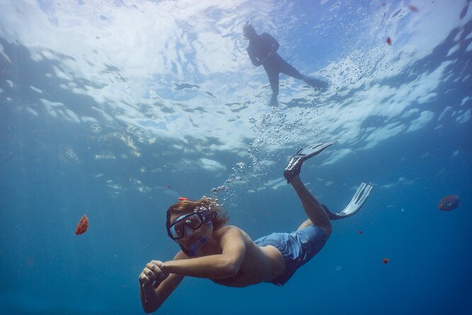 Funchal: Snorkeling Adventure in Eco-Park / Shore or by Boat - The Brief Lesson Makes a Difference