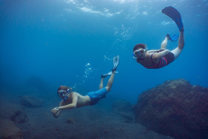 Funchal: Snorkeling Adventure in Eco-Park / Shore or by Boat - Entry, Swimming Ability, and Safety