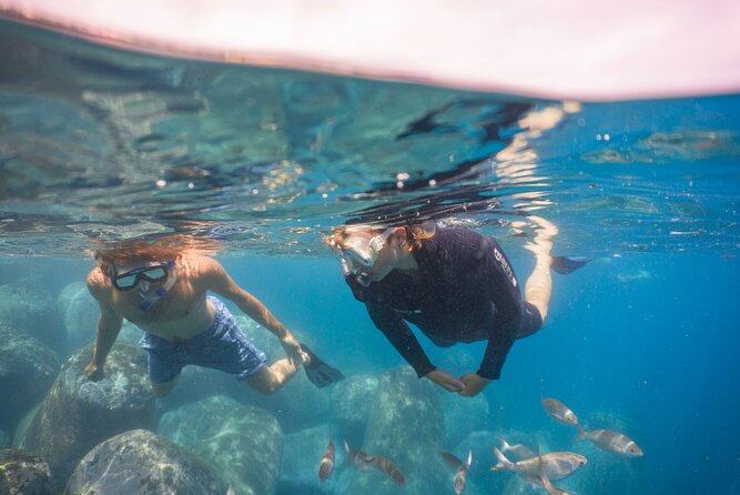 Funchal: Snorkeling Adventure in Eco-Park / Shore or by Boat - Who Will Enjoy This Most?