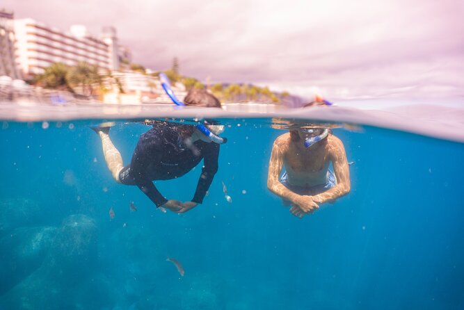 Funchal: Snorkeling Adventure in Eco-Park / Shore or by Boat - Practical Details That Save Time