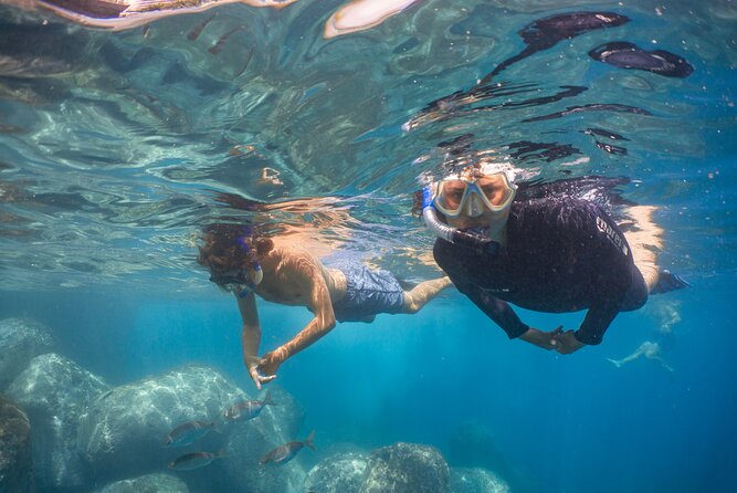 Funchal: Snorkeling Adventure in Eco-Park / Shore or by Boat - Shore Reef or Protected Boat Trip?