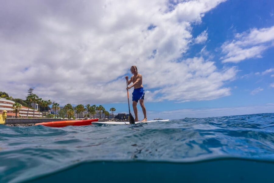 Funchal: SUP Rental or Guided tour with snorkeling - Key points before you book