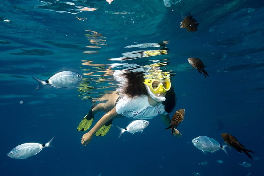 Genoa: snorkeling a stone's throw from downtown - Key points to know before booking