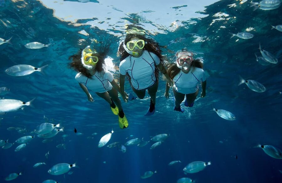 Genoa: snorkeling a stone's throw from downtown - The 15-minute briefing makes the experience easier