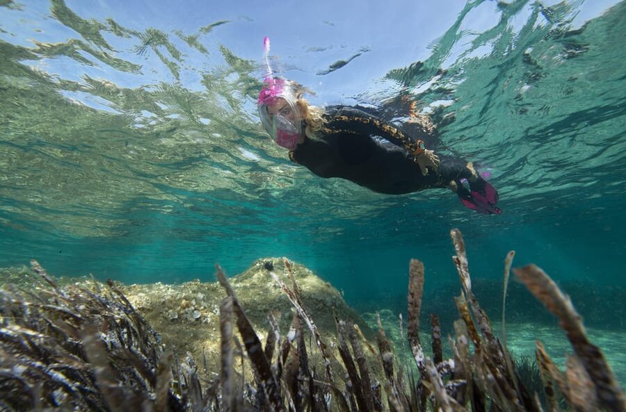 Genoa: snorkeling a stone's throw from downtown - Who will enjoy this most?