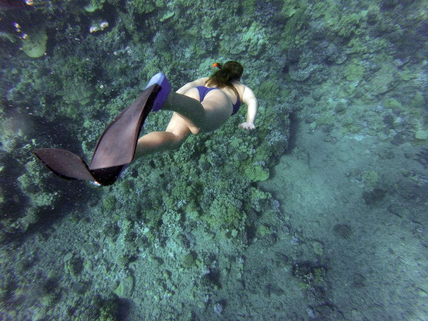 Giardini Naxos: Isola Bella Marine Park Snorkeling Cruise - Should you book the Isola Bella snorkeling cruise?