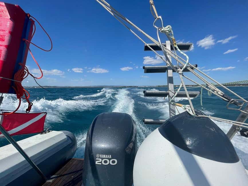 Giglio Island (Tuscania): Tour and snorkelling on a dinghy - Why Giglio works so well from a dinghy