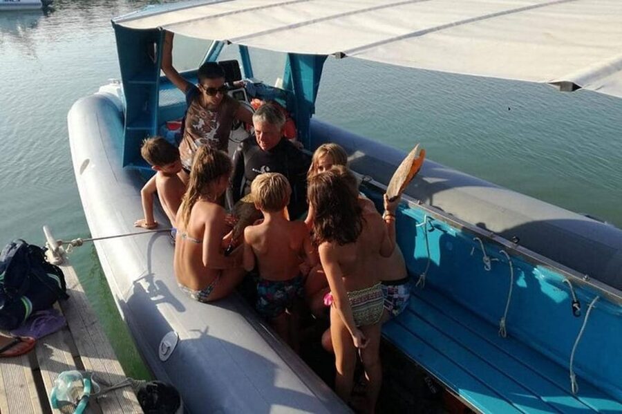 Giglio Island (Tuscania): Tour and snorkelling on a dinghy - Cala Cupa and the final water stop