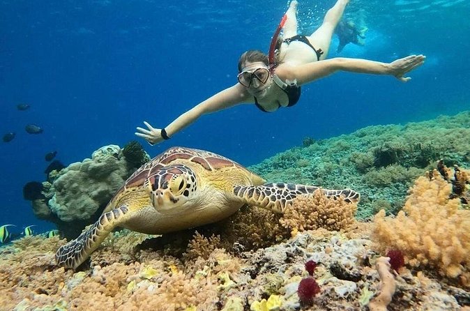Gili Air: Snorkeling 3 Gili Islands with GoPro Camera - Underwater Statues: Art with a Practical Purpose