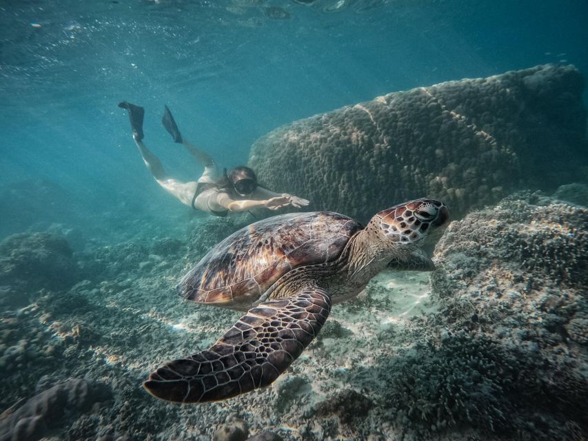 Gili Islands: Group or Private Snorkeling Tour with GoPro - Key things to know before you book