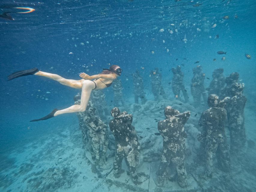 Gili Islands: Group or Private Snorkeling Tour with GoPro - Coral, fish, and three different water stops