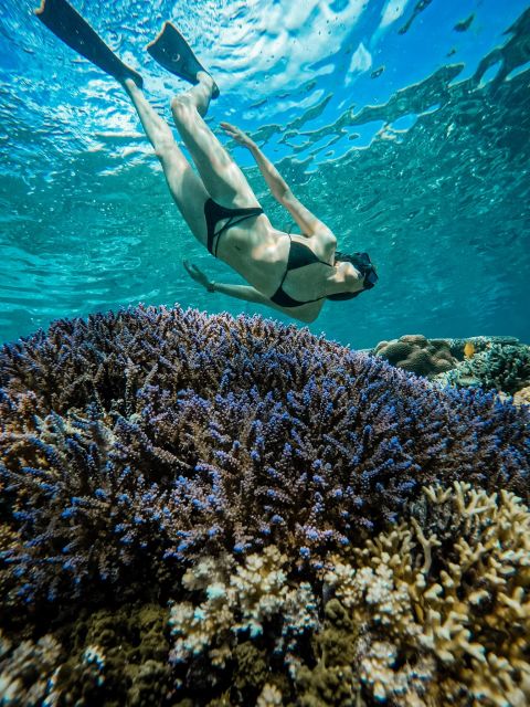 Gili Islands: Group or Private Snorkeling Tour with GoPro - Free time on Gili Air and Gili Meno
