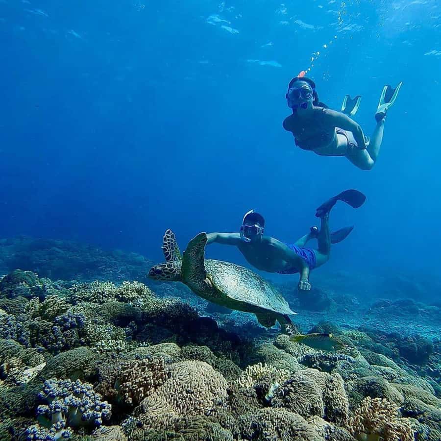 Gili Islands: Private Snorkeling Boat Tour with Local Guide - The guides are the strongest part of the experience