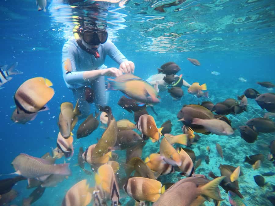 Gili Islands: Private Snorkeling Boat Tour with Local Guide - GoPro footage can be worth the extra cost