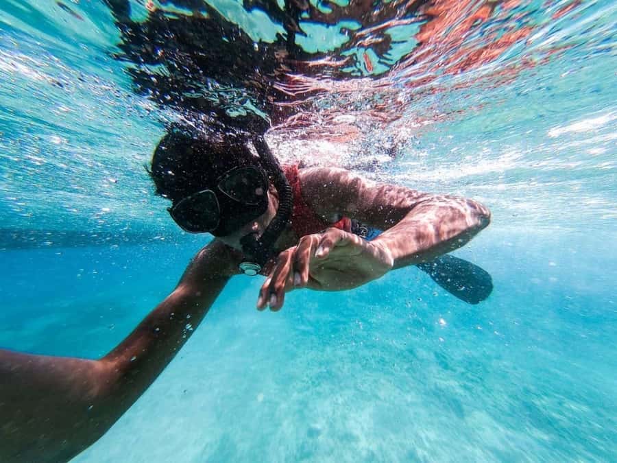 Gili Islands: Private Snorkeling Boat Tour with Local Guide - How the $46 price compares with the experience