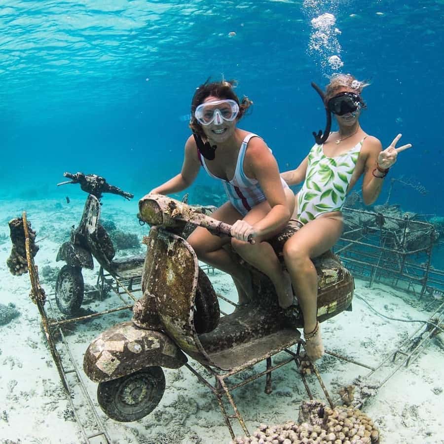 Gili Islands: Private Snorkeling Boat Tour with Local Guide - Who will enjoy this tour most?