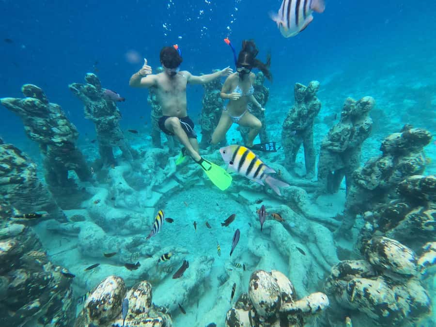 Gili Snorkeling Tour With GO PRO Documentation - Blue coral and reef life around the Gilis