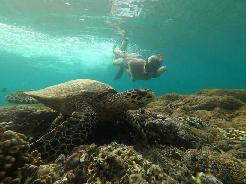 Gili SUNSET Snorkeling Tour With GOPRO Documentation - The underwater statue site and blue coral