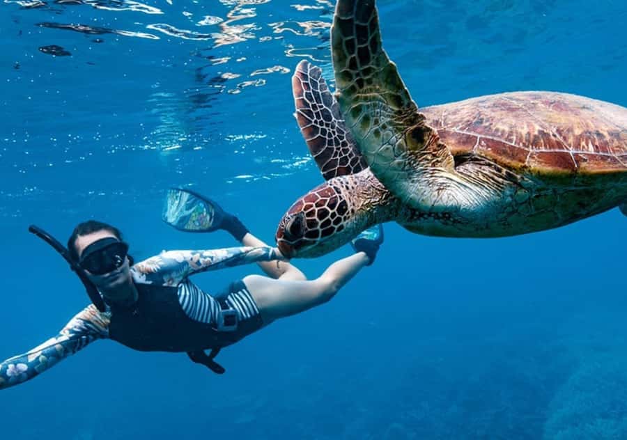 Gili T Island: Gili Snorkeling Day Trip Swim With Turtles - Booking advice and final verdict