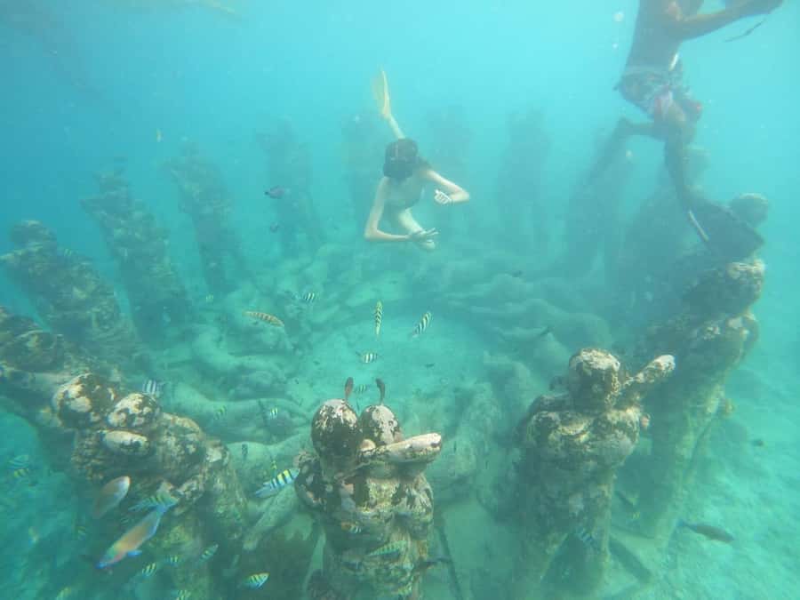 Gili T Island: Gili Snorkeling Day Trip Swim With Turtles - Why this Gili trip is good value at $13