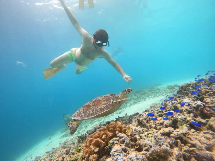Gili T Island: Gili Snorkeling Day Trip Swim With Turtles - The glass-bottom boat sets the tone