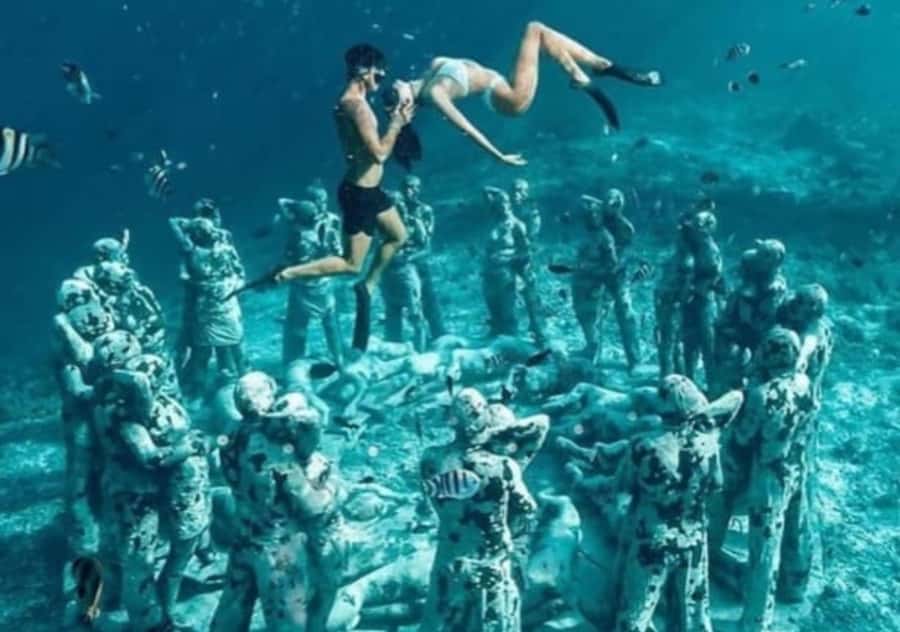 Gili T Island: Gili Snorkeling Day Trip Swim With Turtles - What to pack for five hours on the water