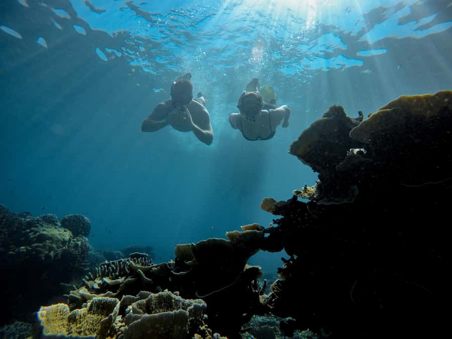 Gili Trawangan : Half Day Snorkeling with Turtle and Statue - Gili Meno’s circle of 48 underwater statues