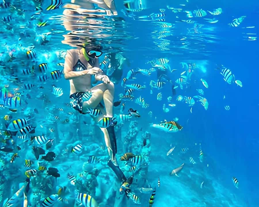 Gili Trawangan: Private Snorkeling 4 Spots Turtle with Gopro - Key points at a glance