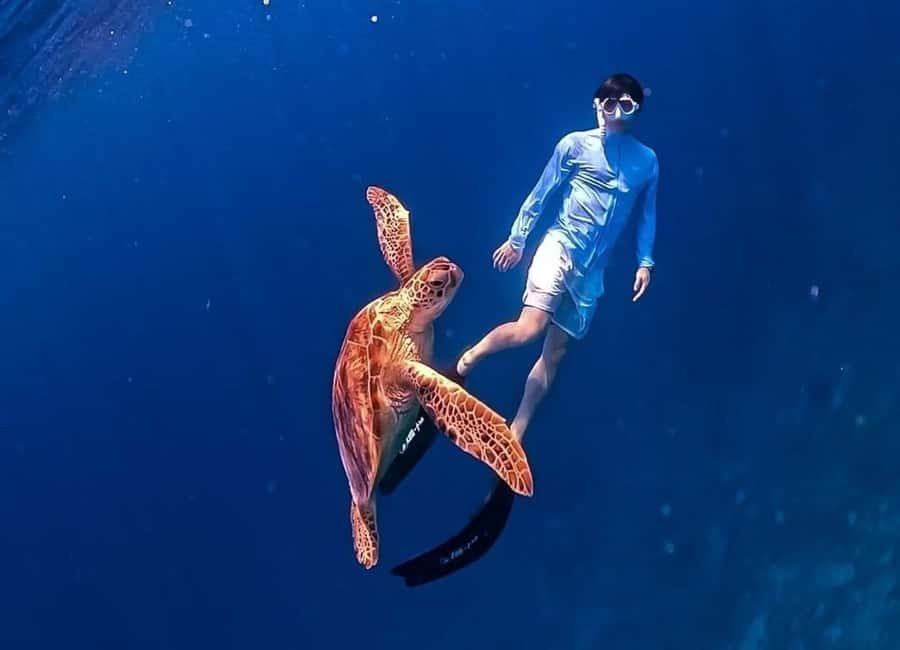 Gili Trawangan: Private Snorkeling 4 Spots Turtle with Gopro - Turtle Point and the best chance for wildlife