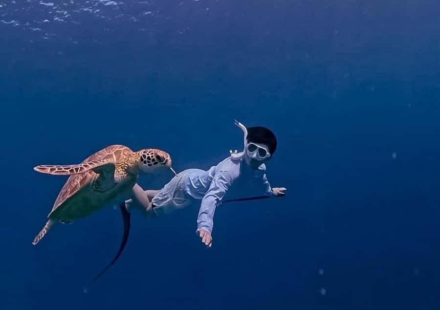 Gili Trawangan: Private Snorkeling 4 Spots Turtle with Gopro - The underwater Vespa stop adds something different