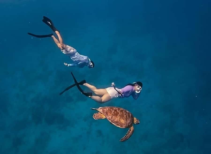 Gili Trawangan: Private Snorkeling 4 Spots Turtle with Gopro - Lunch on Gili Meno