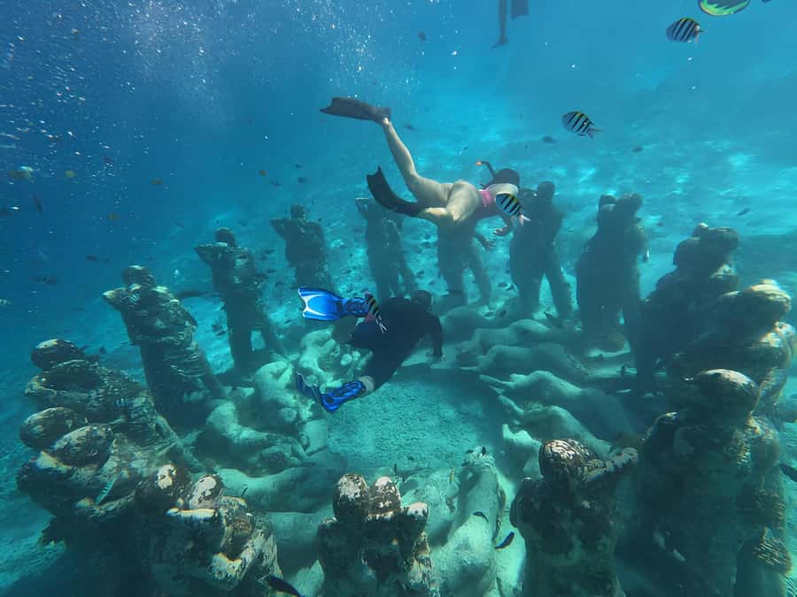 Gili Trawangan: Private Snorkeling 4 Spots Turtle with Gopro - Why the GoPro matters