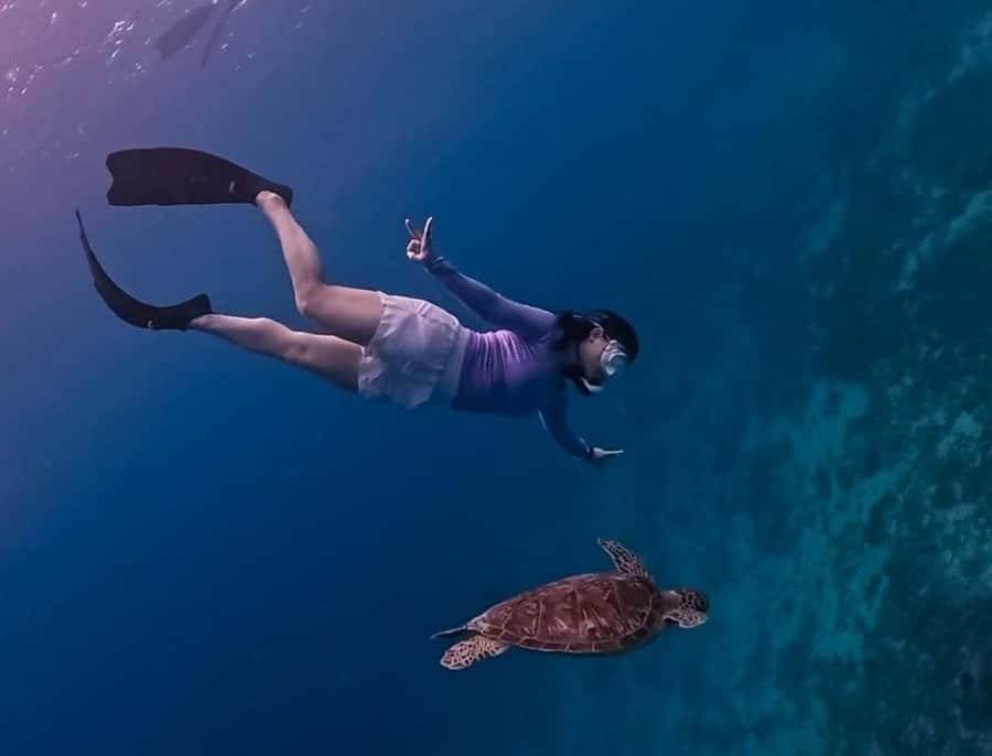 Gili Trawangan: Private Snorkeling 4 Spots Turtle with Gopro - The guides make the private format work