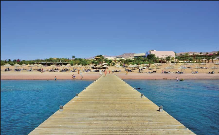 Glass Boat & Snorkeling with day use of Berenice Beach Club - Key points at a glance
