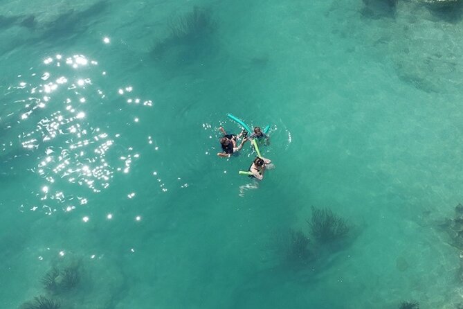 Glass Bottom Boat and Snorkeling Combo in Bermuda - Key points to know