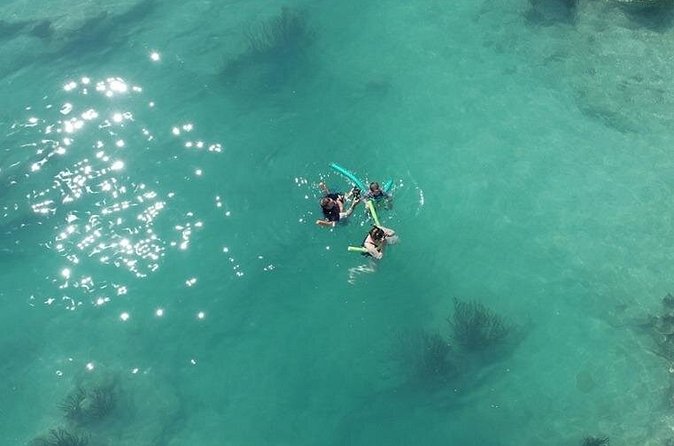 Glass Bottom Boat and Snorkeling Combo in Bermuda - The three-foot snorkeling stop