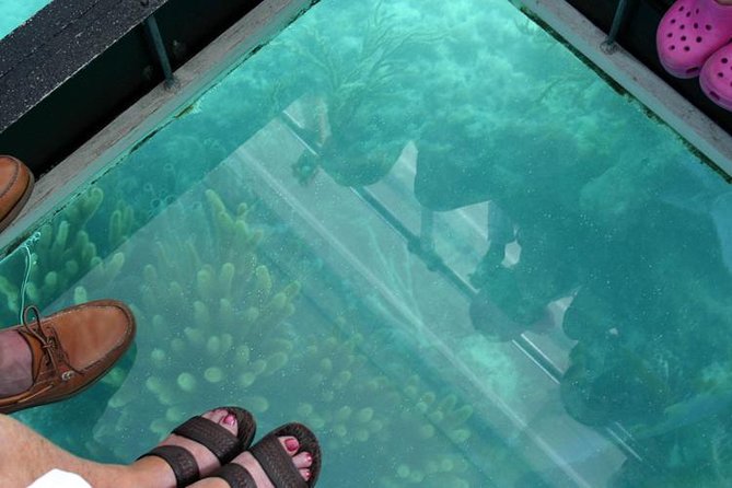 Glass Bottom Boat and Snorkeling Combo in Bermuda - The return ride and Bermuda rum swizzle