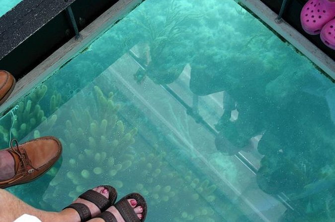 Glass Bottom Boat and Snorkeling Combo in Bermuda - Is $105 a fair price?