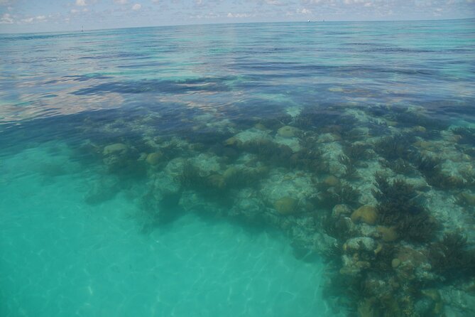 Glass Bottom Boat and Snorkeling Combo in Bermuda - Who should book this tour?