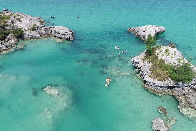 Glass Bottom Boat and Snorkeling Combo in Bermuda - Searching the sea grass beds for turtles