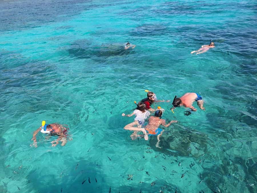 Glassbottom boat & Crystalkayak SteAnneMarinePark Snorkeling - My call: book it if you want variety