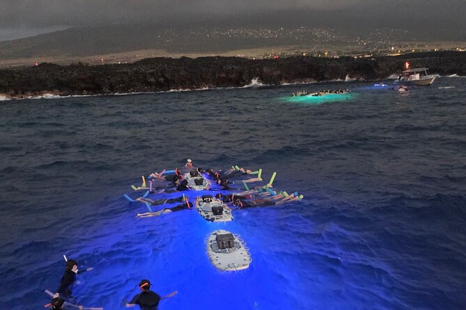 Glow of the Deep: Night Snorkeling with Manta Rays - What the mantas are doing below you