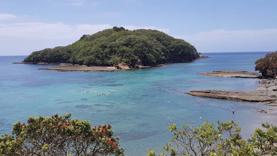 Goat Island Guided Snorkeling Tour for Beginners - The guides are the real strength