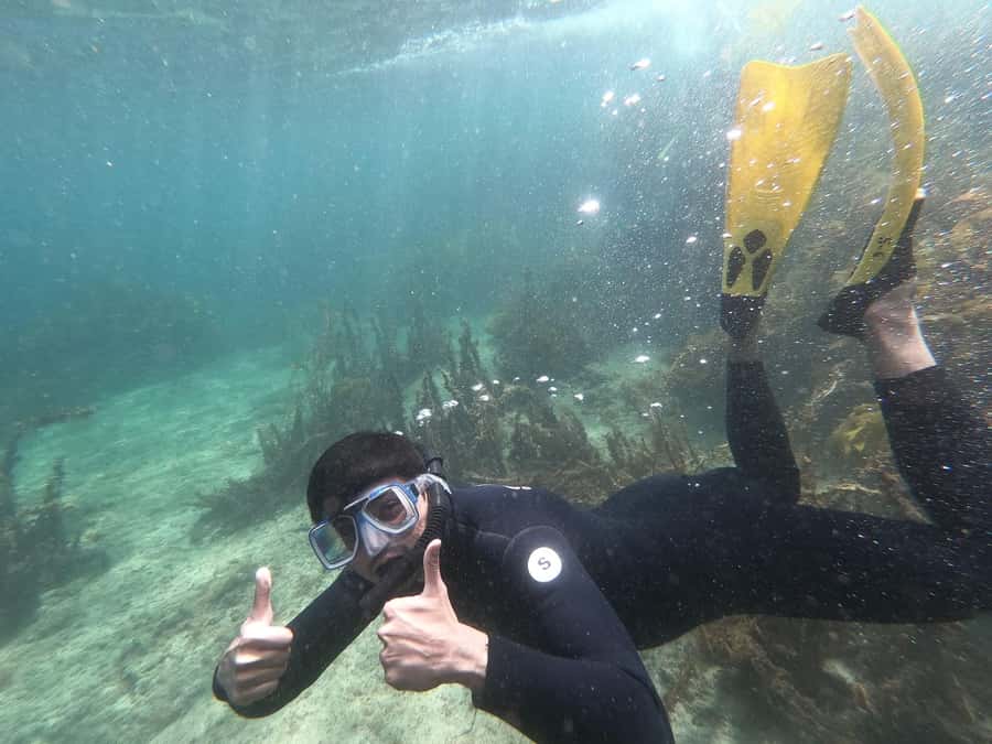 Goat Island Guided Snorkelling Tour For Advanced - What makes this Goat Island tour different