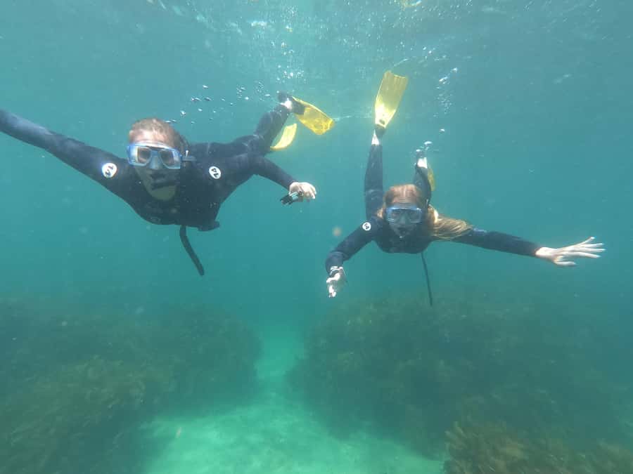 Goat Island Guided Snorkelling Tour For Advanced - The 3-kilometer move to the reserve