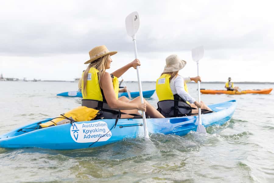 Gold Coast: Kayaking and Snorkeling Guided Tour - Key points to know before you book