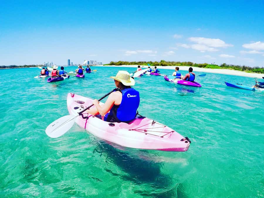 Gold Coast: Kayaking and Snorkeling Guided Tour - Starting near Marine Parade in Biggera Waters